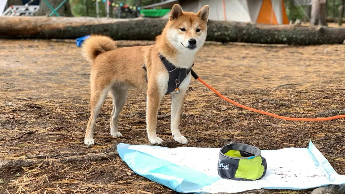 5 Things You Do That Make Other Campers Hate You