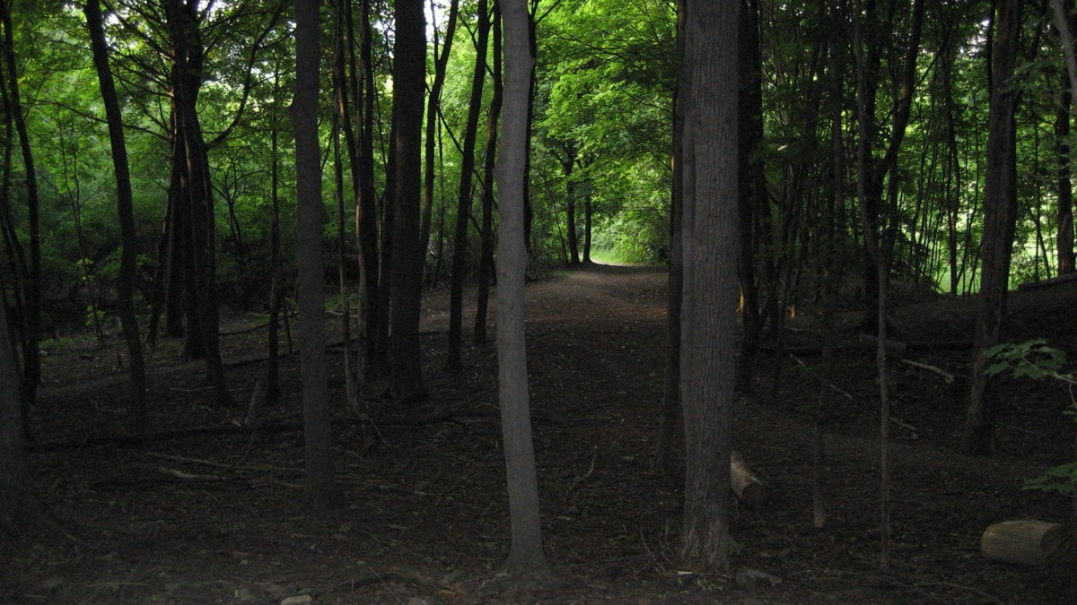 5 Iconic Nature Trails You'll Only Find In Canada