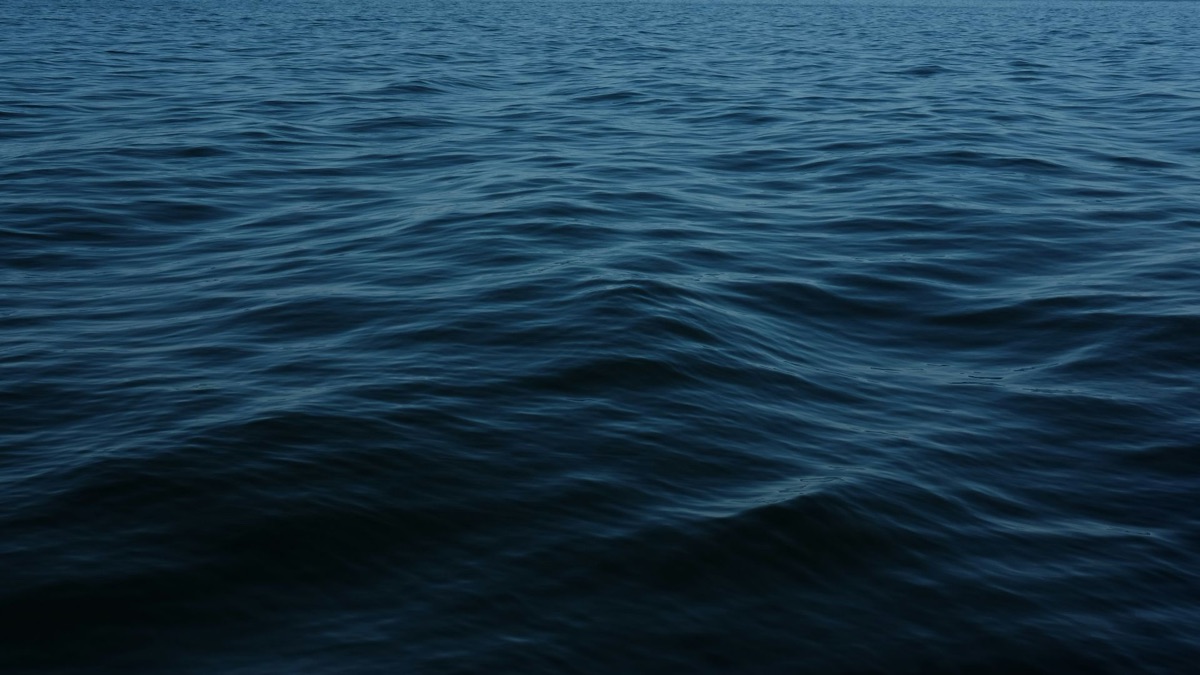 5 Scary Facts About The Ocean